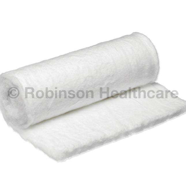 Robinson Cotton Wool Roll 500g