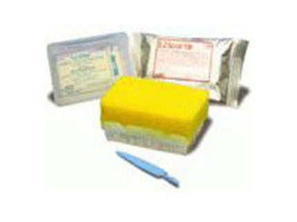 BD EZ Scrub Brush Sterile Dry x30