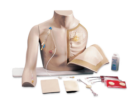 ESP Chester Chest - Life-like Model of a Human