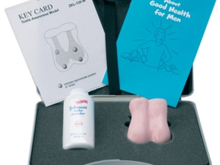 Testicular Examination Model