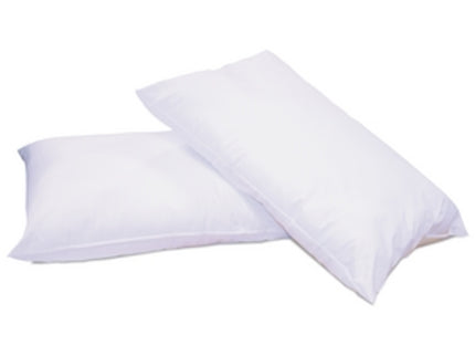 Economy Pillow White x1