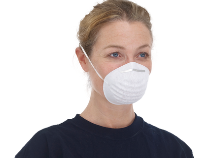 Dust Masks With Elasticated Ear Loops