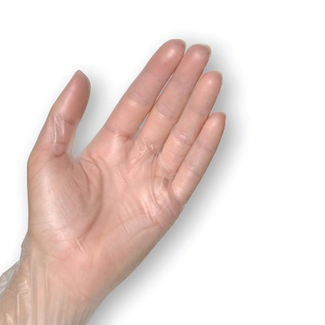 Clear Powder-Free Vinyl Examination Gloves