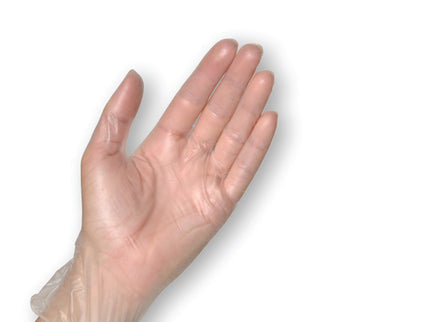 Clear Vinyl Non Sterile Powder Free Examination Gloves