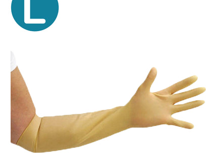 Prestige Non–Sterile Latex Gauntlets Natural (Large) x10 pairs