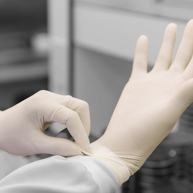 Healthline Latex Examination Gloves (Large)x100 pairs