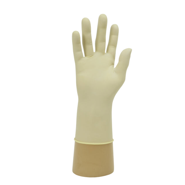 Healthline Latex Examination Gloves (Large)x100 pairs