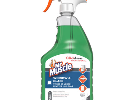 Mr Muscle® Window & Glass Cleaner (750 ml)