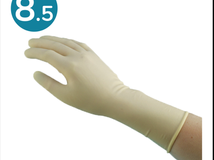 Non–Sterile Latex Procedure Gloves Natural (8.5) x200 pairs