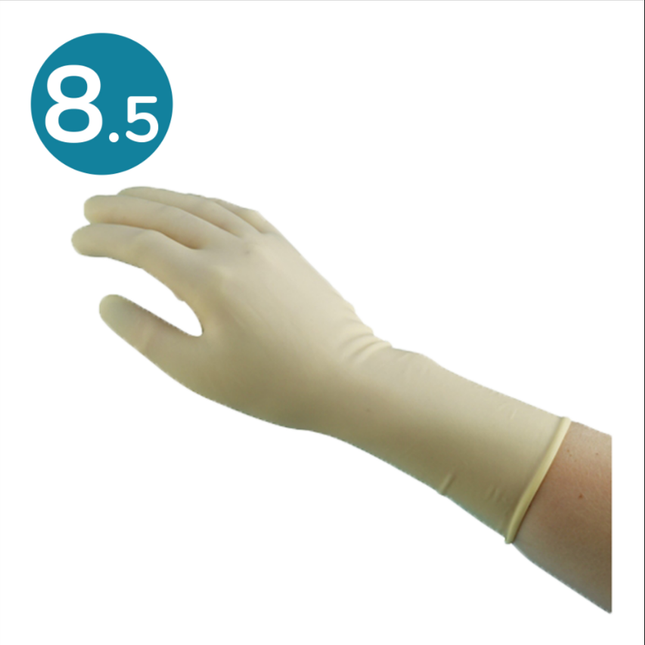 Non–Sterile Latex Procedure Gloves Natural (8.5) x200 pairs