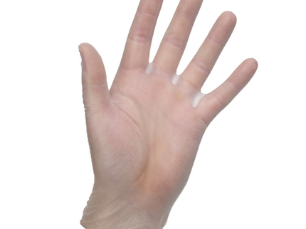 Powder–Free PPE Vinyl Gloves Clear