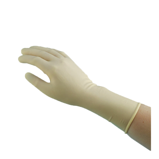 Non–Sterile Latex Procedure Gloves Natural